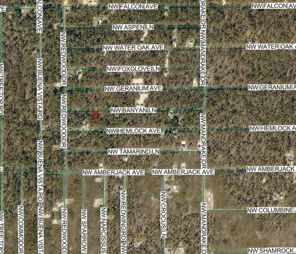NW Banyan Lane Dunnellon FL 34431