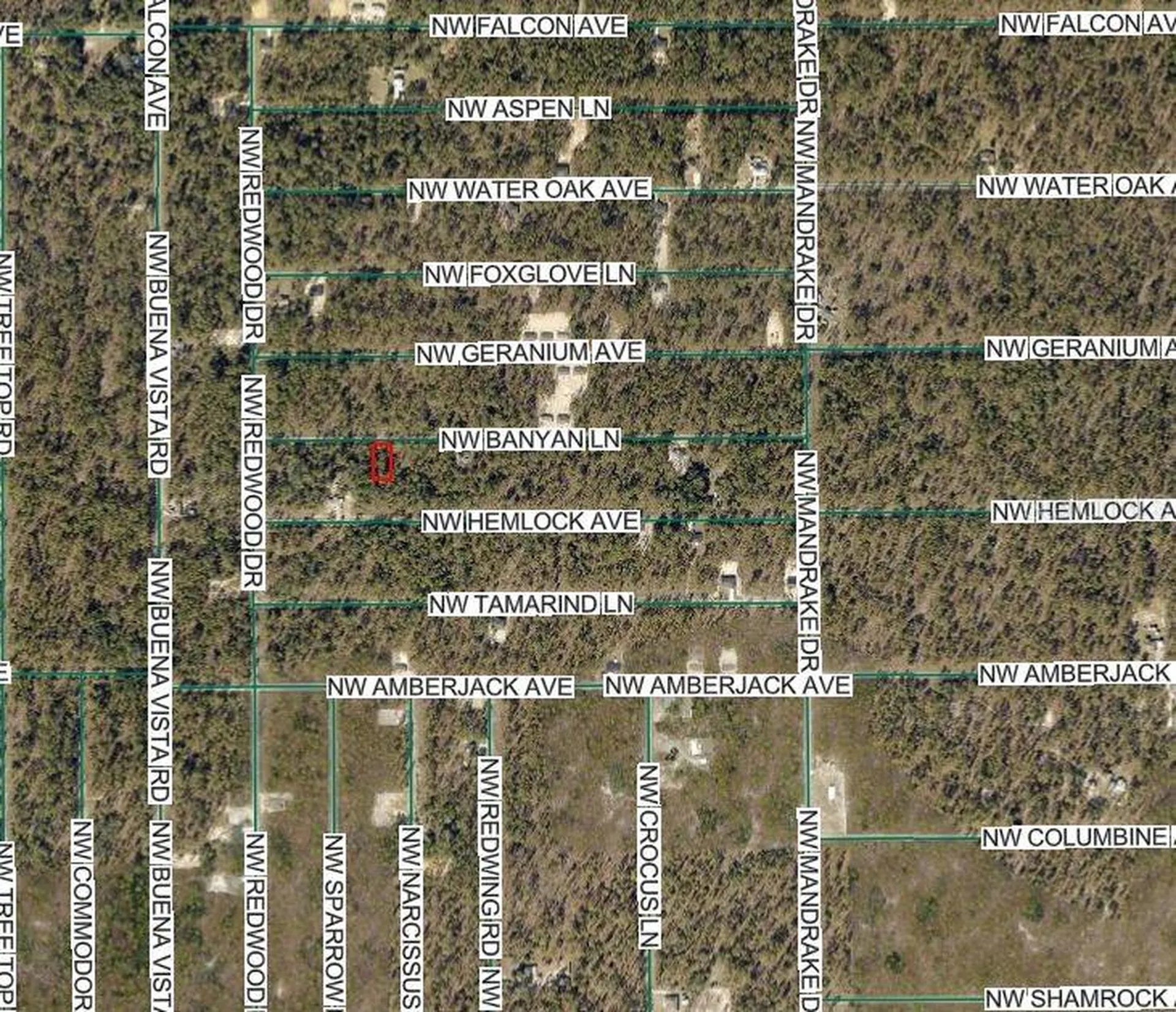 NW Banyan Lane Dunnellon FL 34431