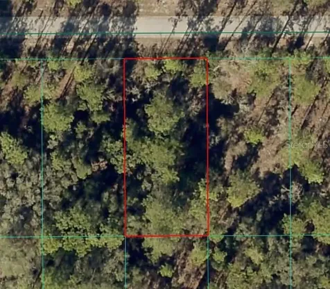 NW Banyan Lane Dunnellon FL 34431