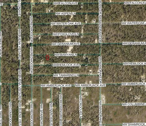 NW Banyan Lane Dunnellon FL 34431