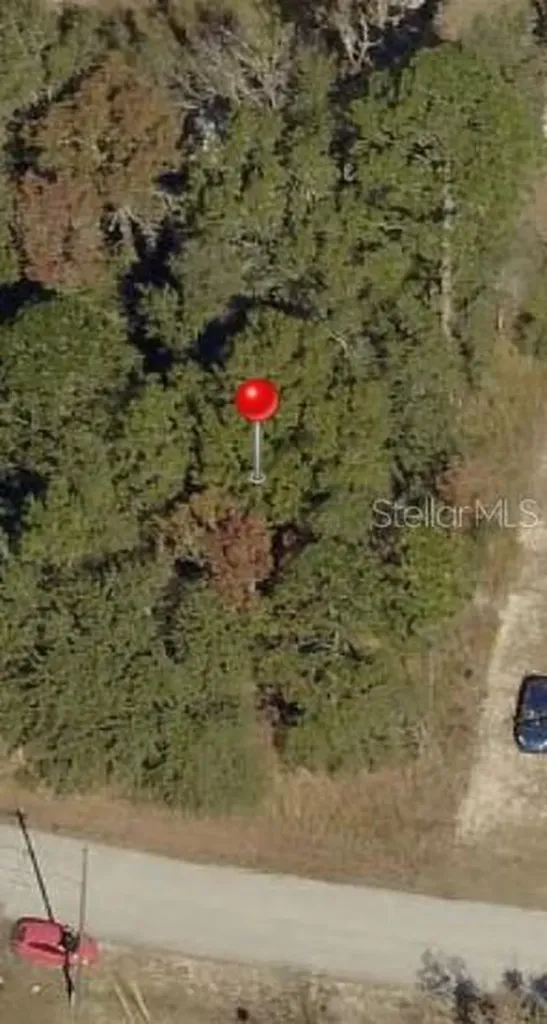 Tbd N Pine Radial Road N Ocala FL 34472