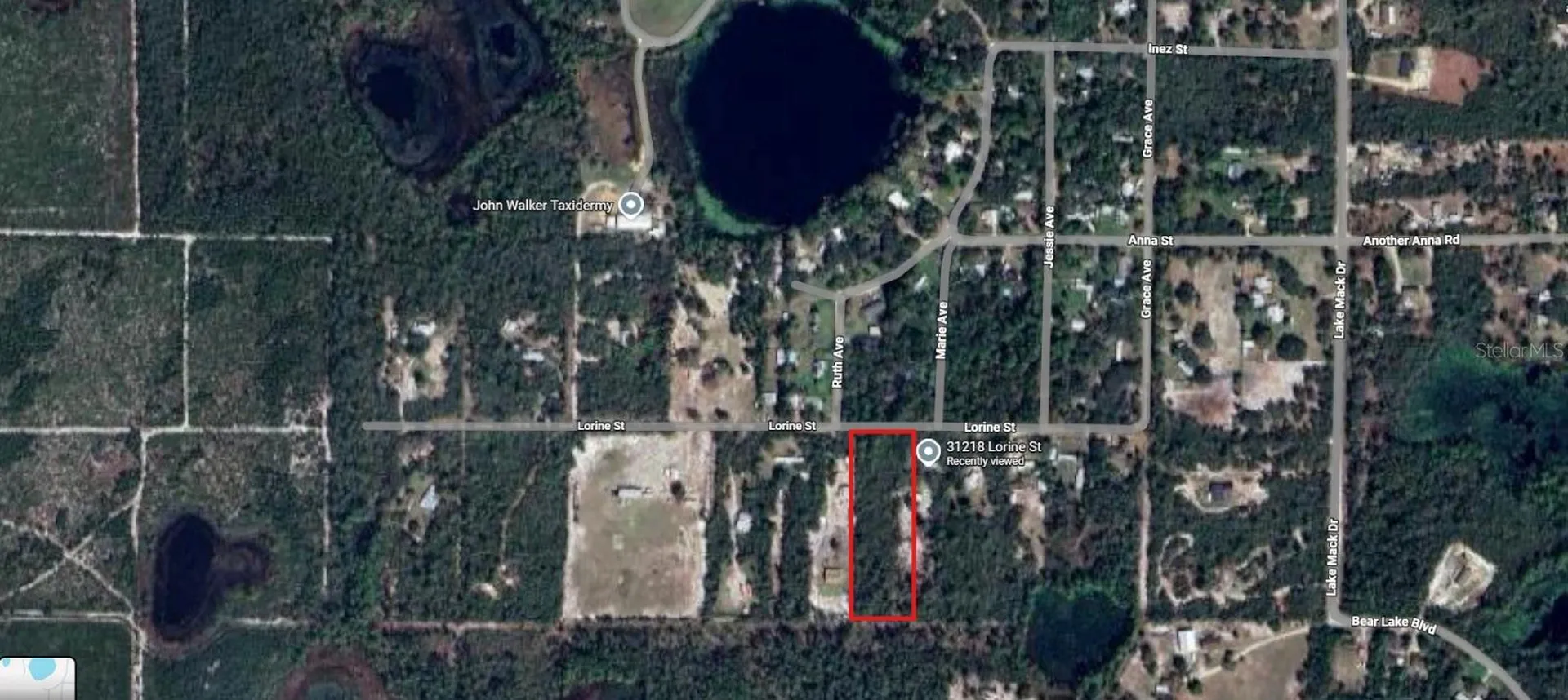 31217 Lorine Street Deland FL 32720