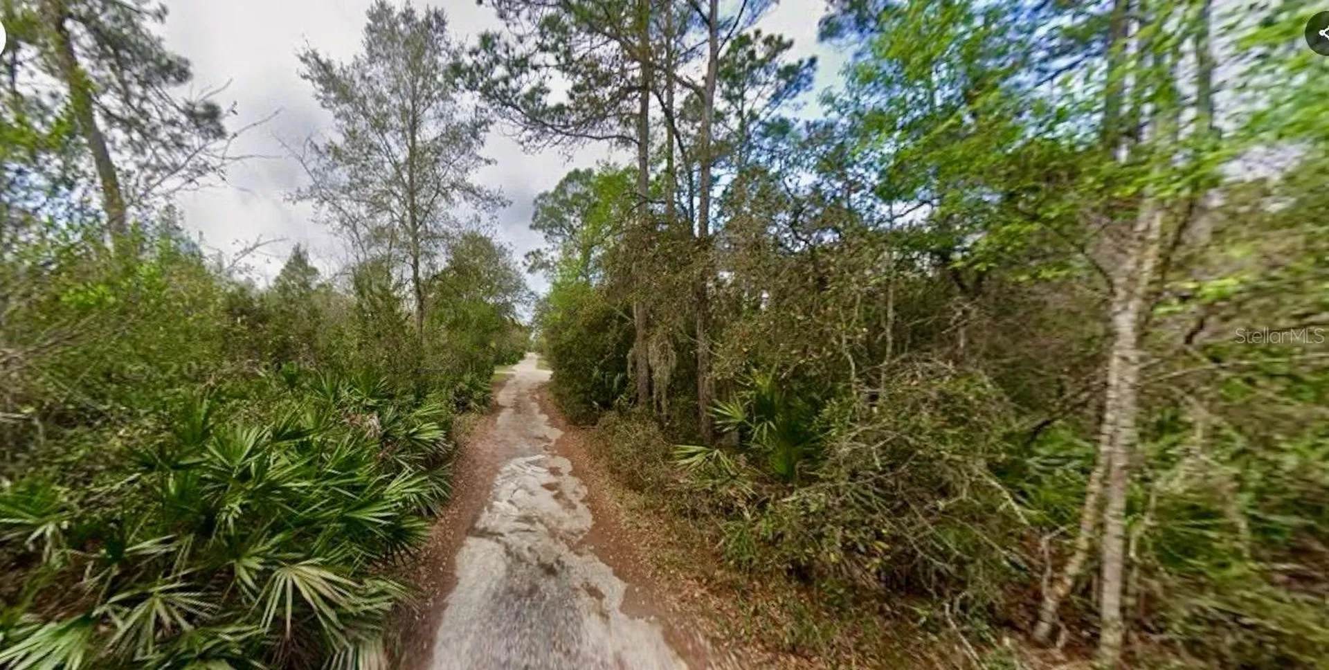 31217 Lorine Street Deland FL 32720
