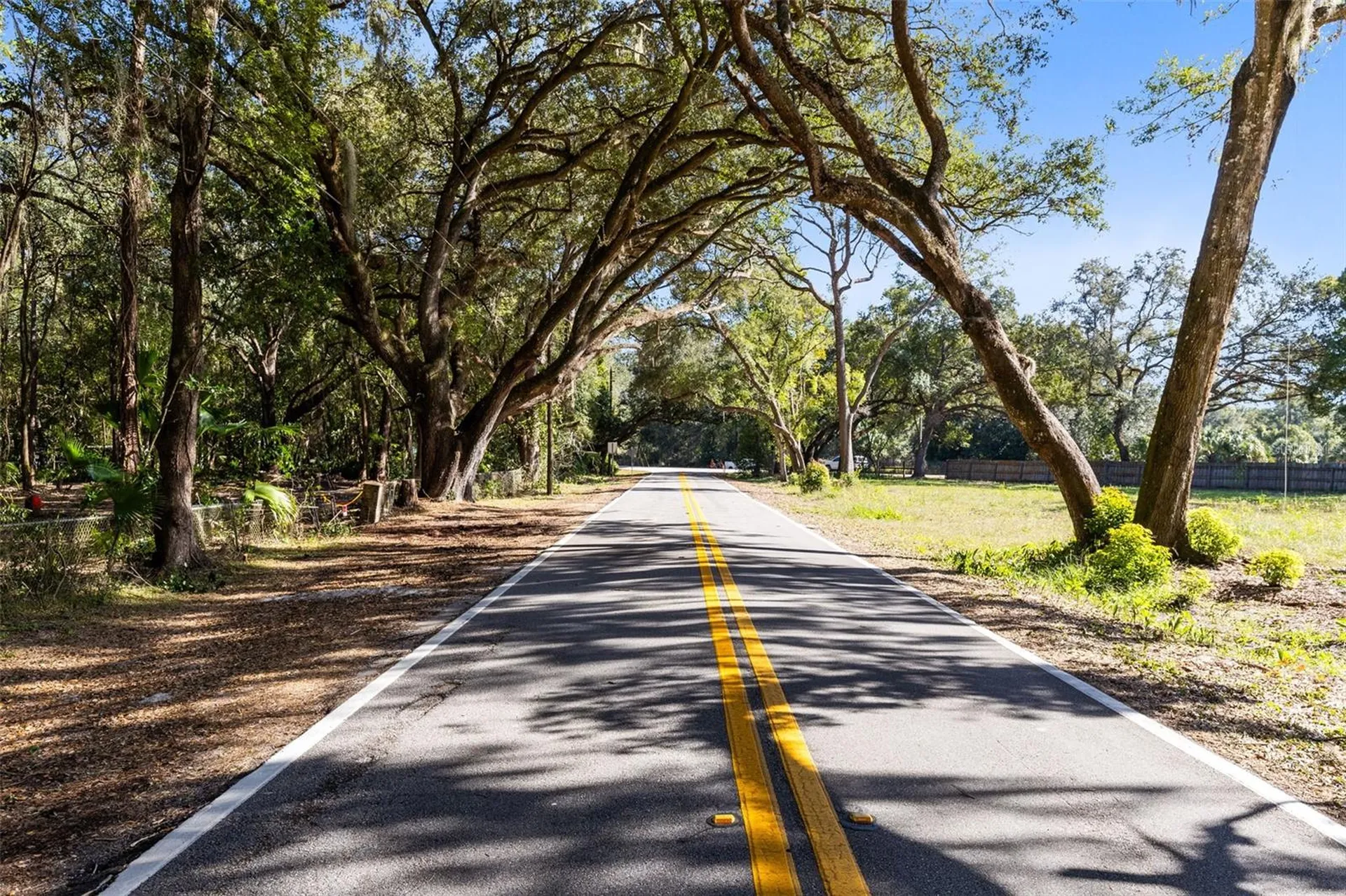 7838 Sloewood Drive Mount Dora FL 32757