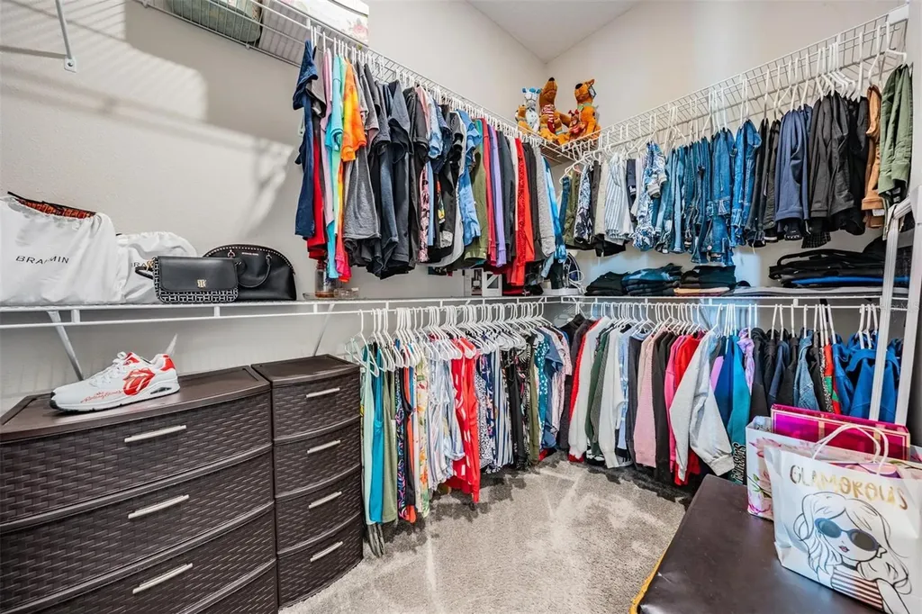 29043 Picana Lane Wesley Chapel FL 33543