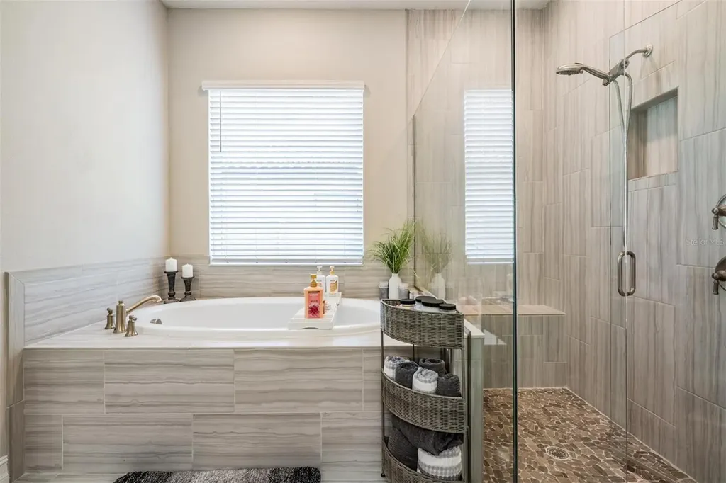 29043 Picana Lane Wesley Chapel FL 33543