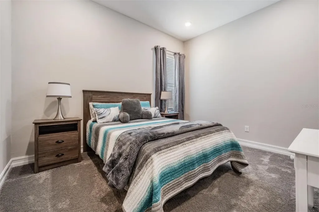 29043 Picana Lane Wesley Chapel FL 33543