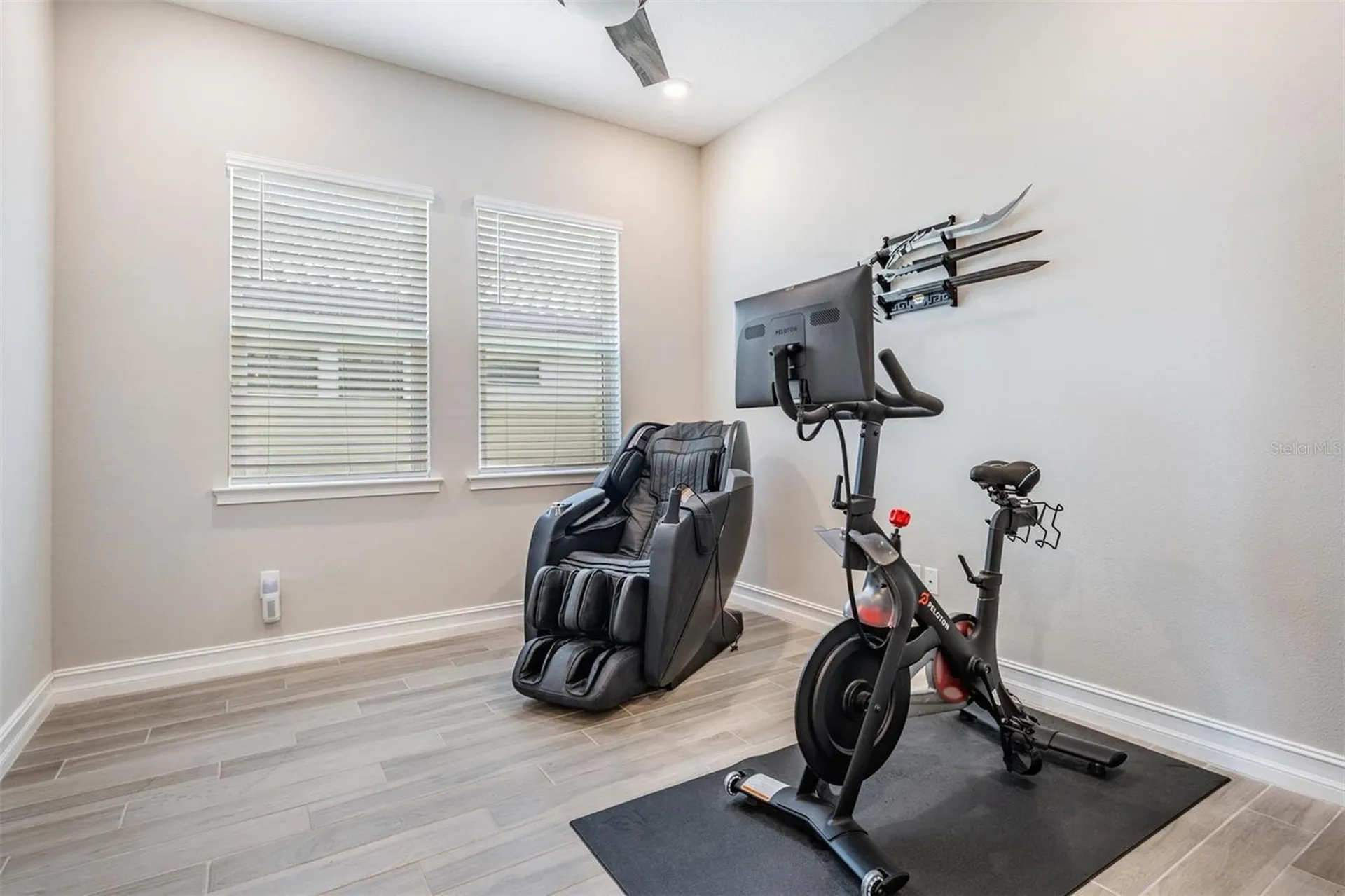 29043 Picana Lane Wesley Chapel FL 33543