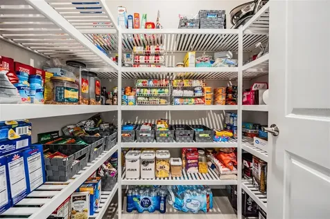 29043 Picana Lane Wesley Chapel FL 33543