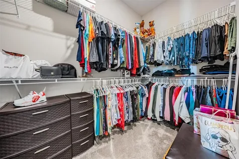 29043 Picana Lane Wesley Chapel FL 33543