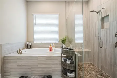 29043 Picana Lane Wesley Chapel FL 33543