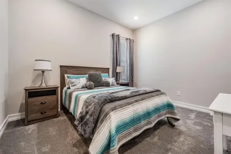 29043 Picana Lane Wesley Chapel FL 33543