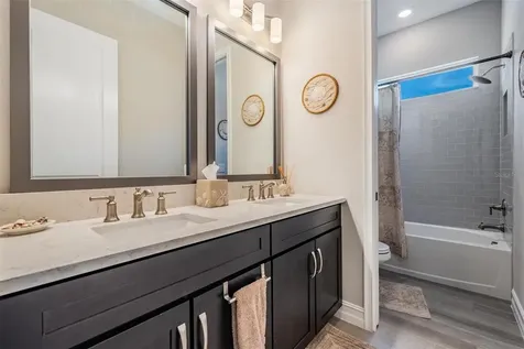 29043 Picana Lane Wesley Chapel FL 33543