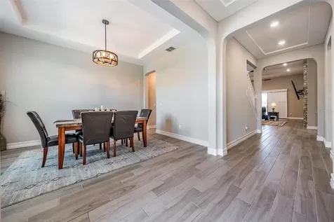 29043 Picana Lane Wesley Chapel FL 33543