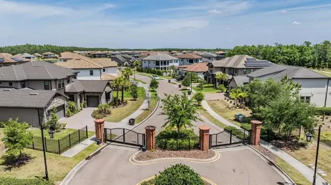 29043 Picana Lane Wesley Chapel FL 33543