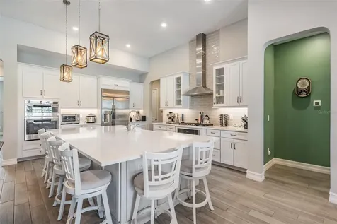 29043 Picana Lane Wesley Chapel FL 33543