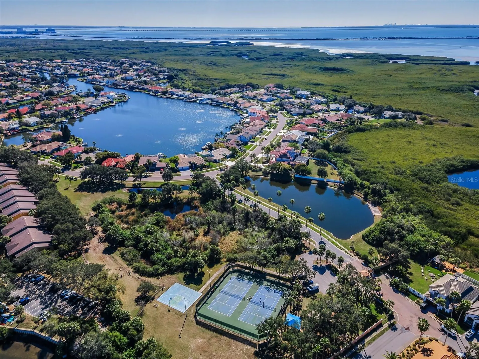 10622 Cape Hatteras Drive Tampa FL 33615