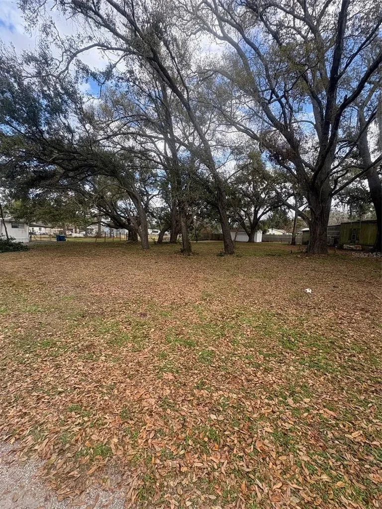 337 Waterview Drive Polk City FL 33868