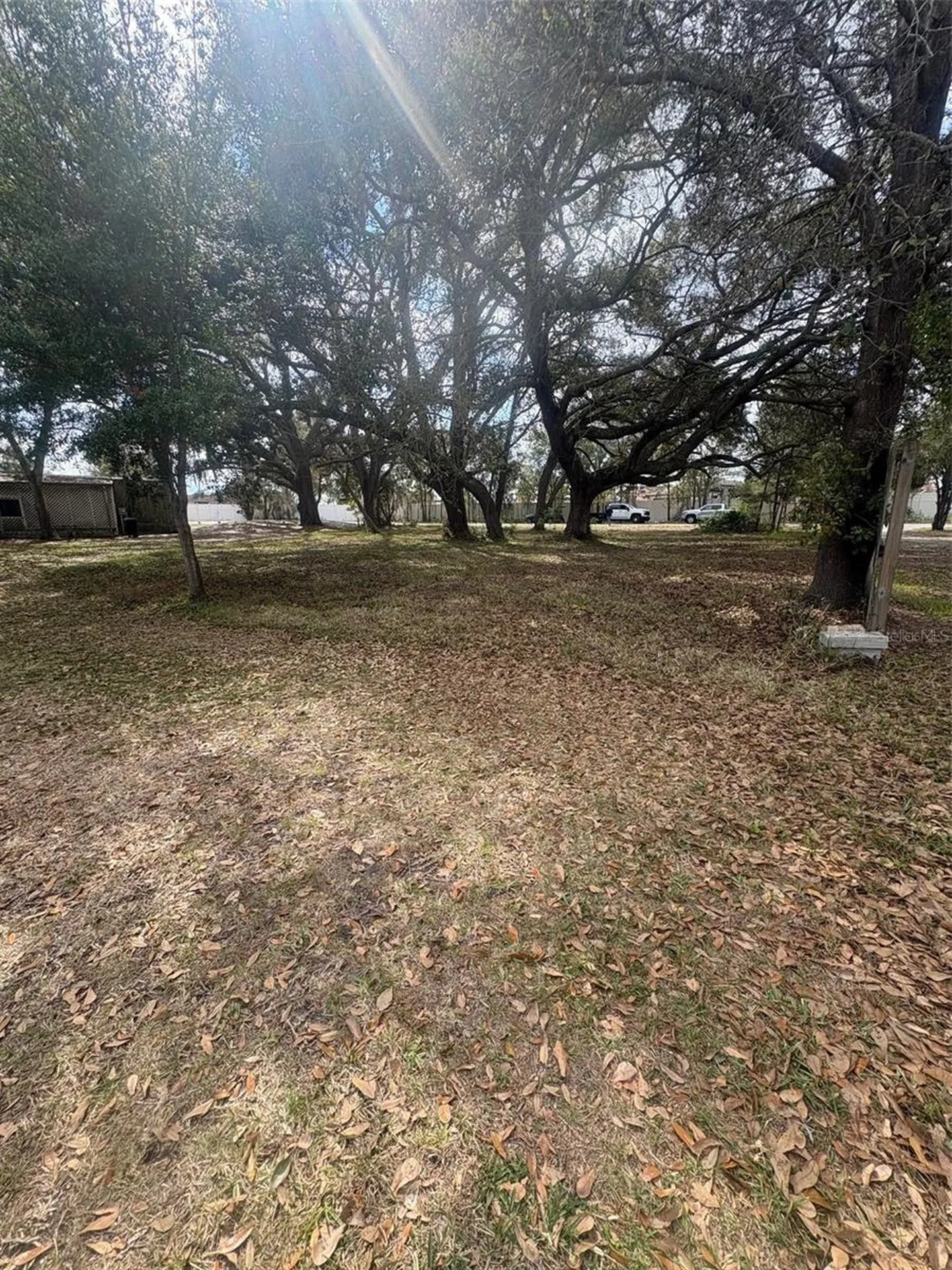 337 Waterview Drive Polk City FL 33868