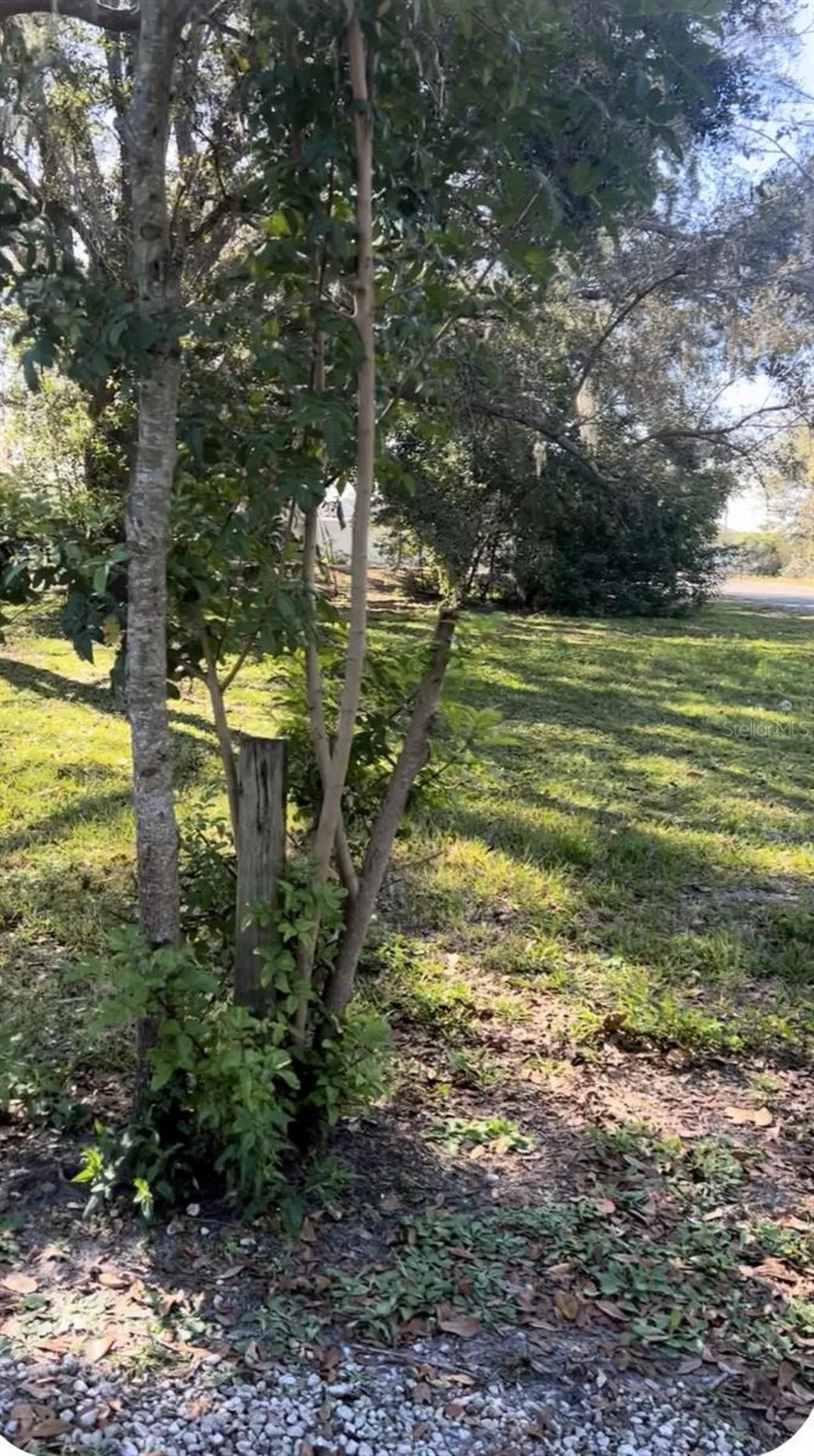 337 Waterview Drive Polk City FL 33868