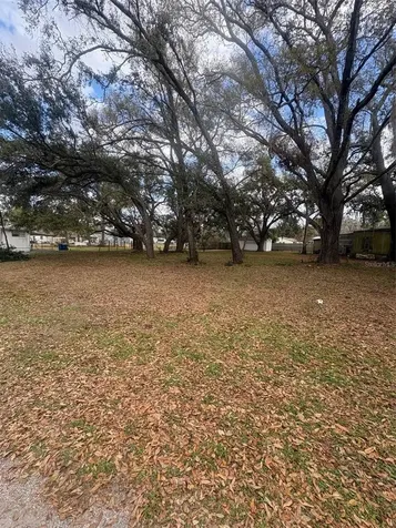 337 Waterview Drive Polk City FL 33868