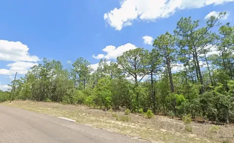 9313 N Hawkweed Drive Citrus Springs FL 34433