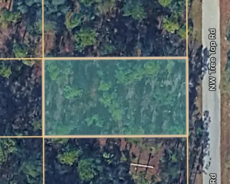 0000 NW Treetop Road Dunnellon FL 34431