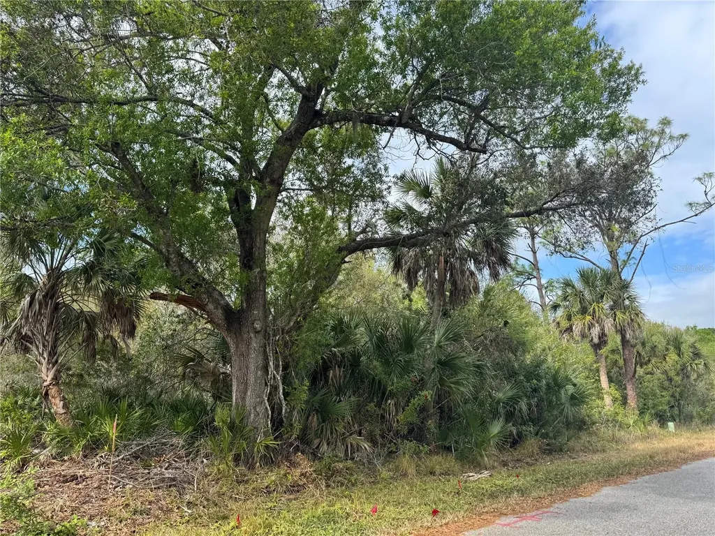 2433 Largo Street Punta Gorda FL 33980