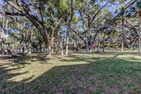 3650 41st Way S St Petersburg FL 33711