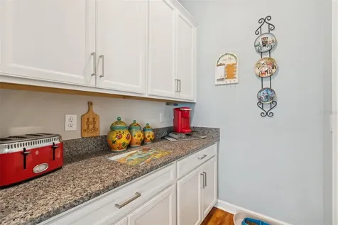 31516 Cabana Rye San Antonio FL 33576
