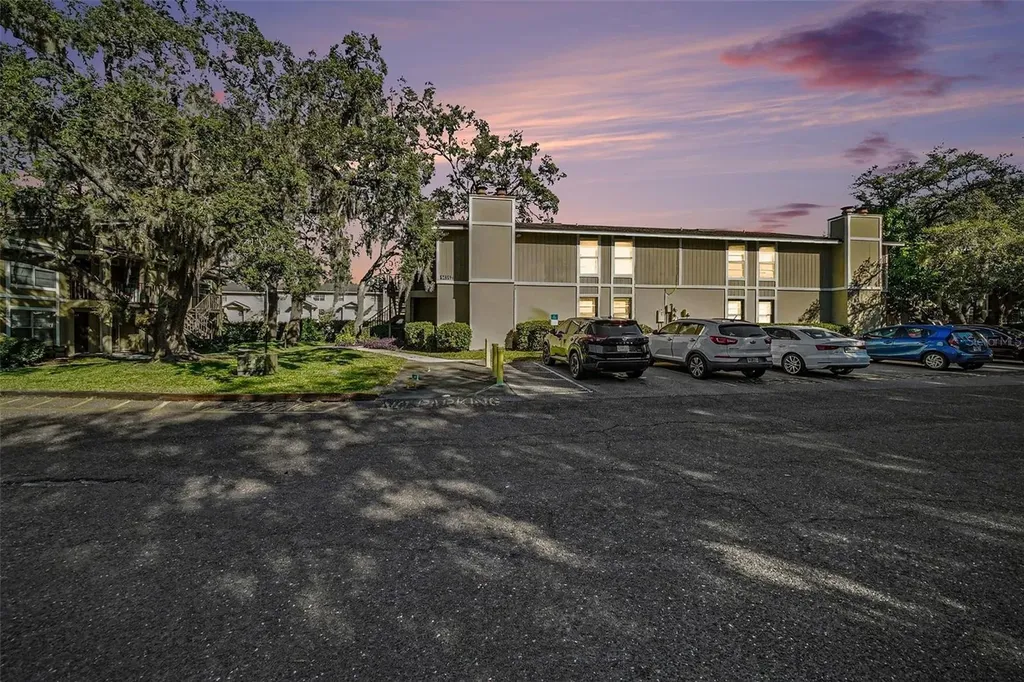 14312 Hanging Moss Circle Tampa FL 33613