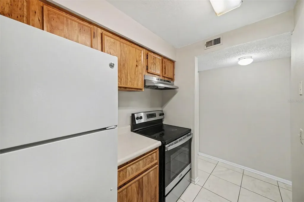 14312 Hanging Moss Circle Tampa FL 33613