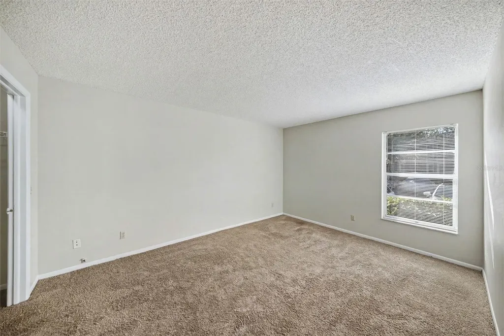 14312 Hanging Moss Circle Tampa FL 33613