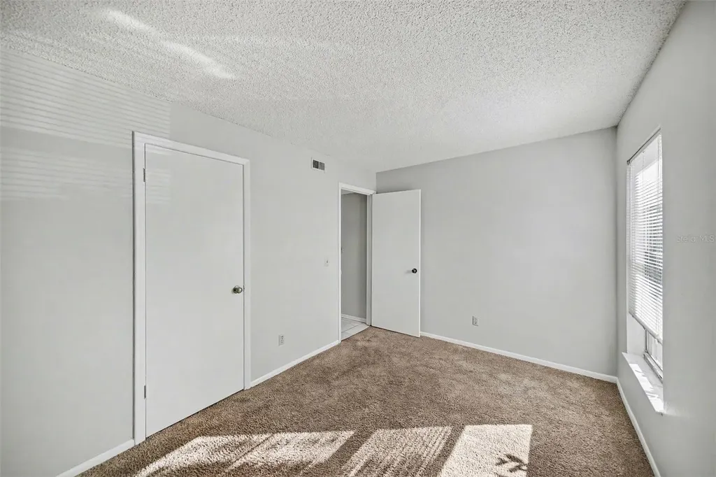 14312 Hanging Moss Circle Tampa FL 33613