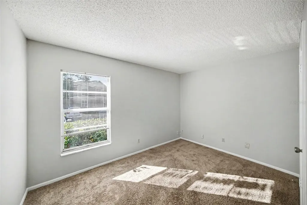14312 Hanging Moss Circle Tampa FL 33613