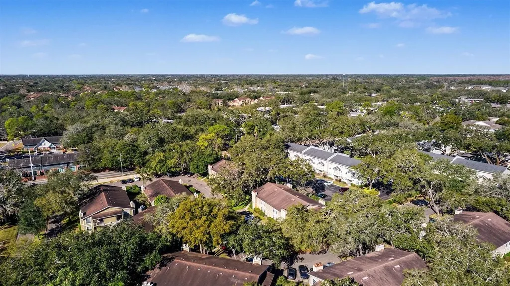 14312 Hanging Moss Circle Tampa FL 33613