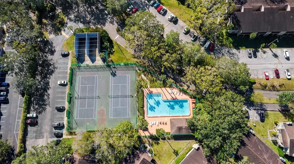 14312 Hanging Moss Circle Tampa FL 33613