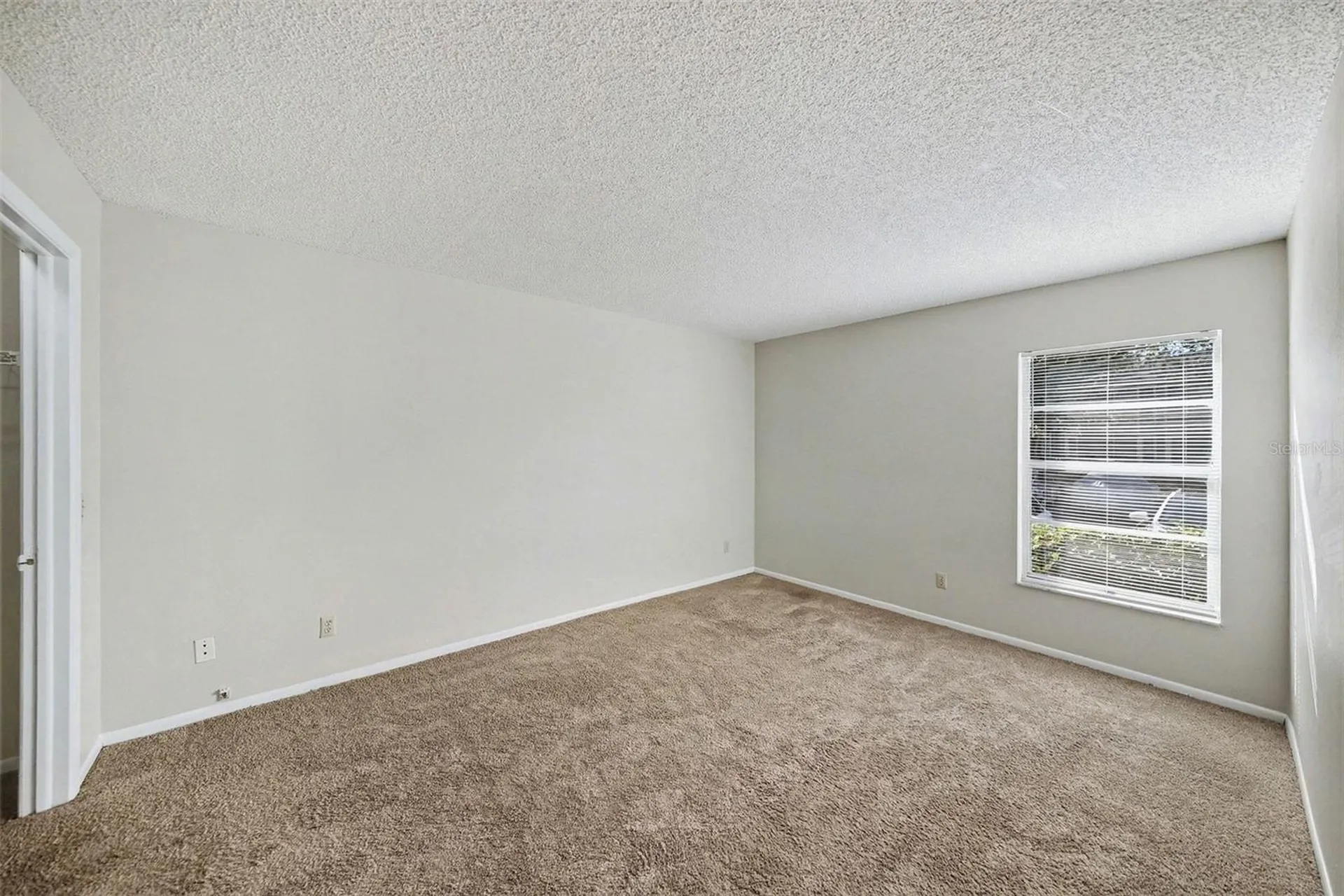 14312 Hanging Moss Circle Tampa FL 33613
