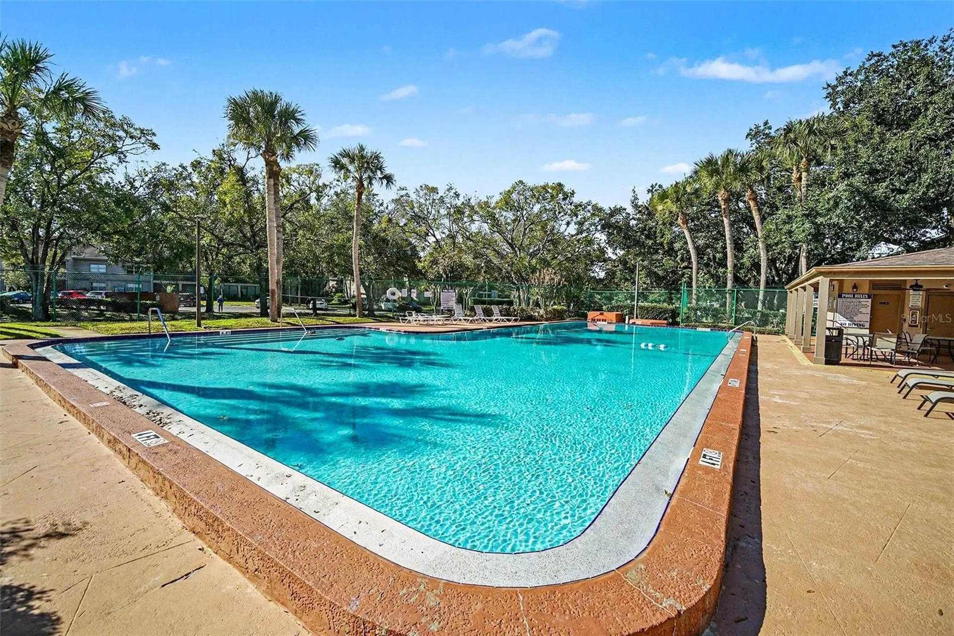 14312 Hanging Moss Circle Tampa FL 33613