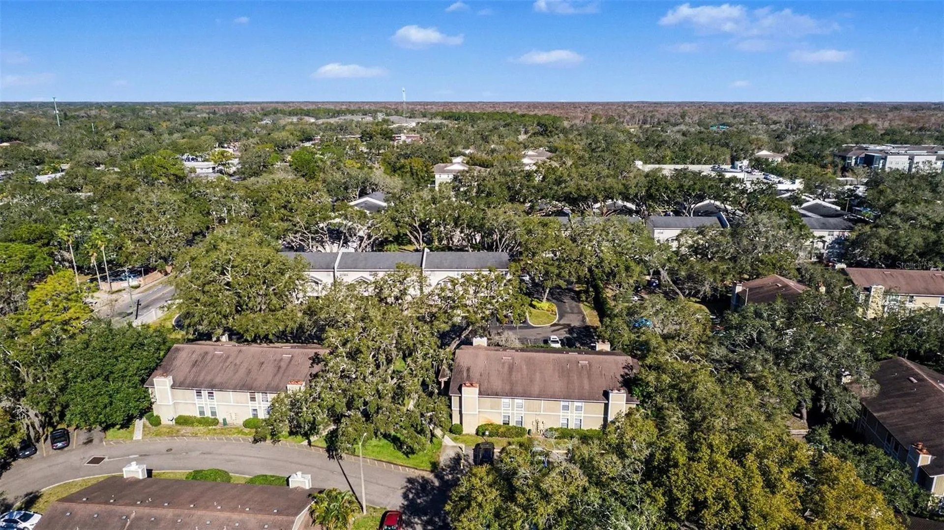 14312 Hanging Moss Circle Tampa FL 33613