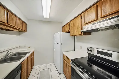 14312 Hanging Moss Circle Tampa FL 33613