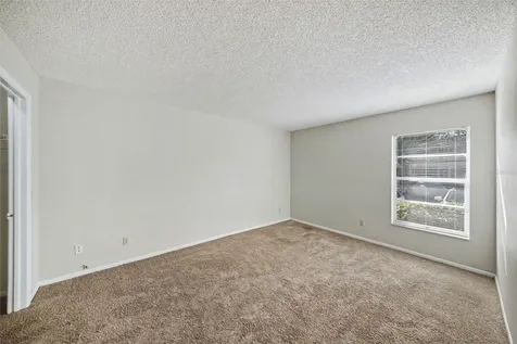 14312 Hanging Moss Circle Tampa FL 33613