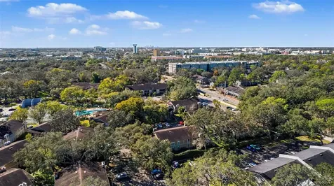 14312 Hanging Moss Circle Tampa FL 33613