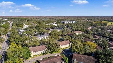 14312 Hanging Moss Circle Tampa FL 33613