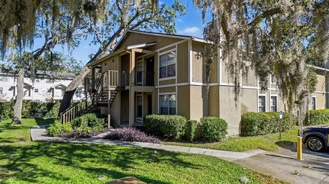 14312 Hanging Moss Circle Tampa FL 33613