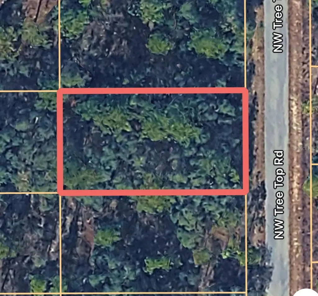 0000 NW Treetop Road Dunnellon FL 34431