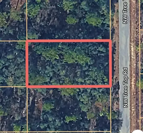 0000 NW Treetop Road Dunnellon FL 34431