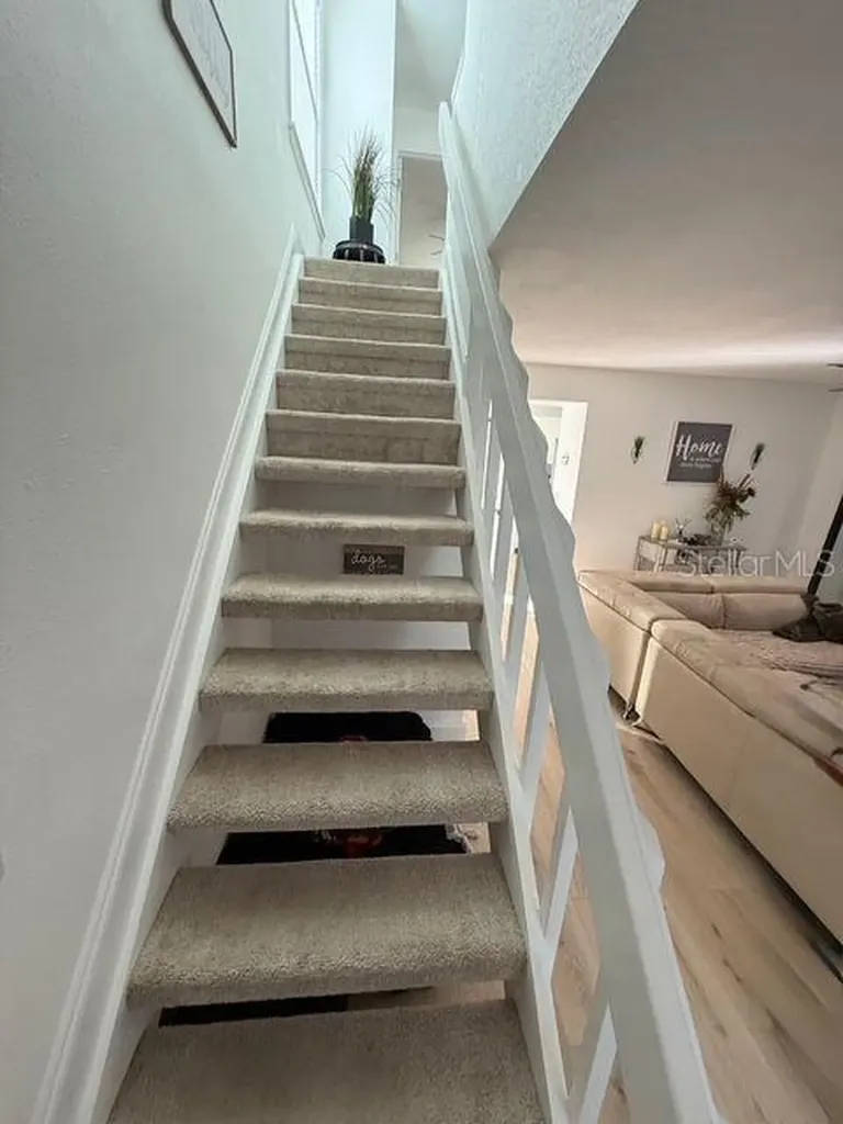 16077 Dawnview Drive Tampa FL 33624
