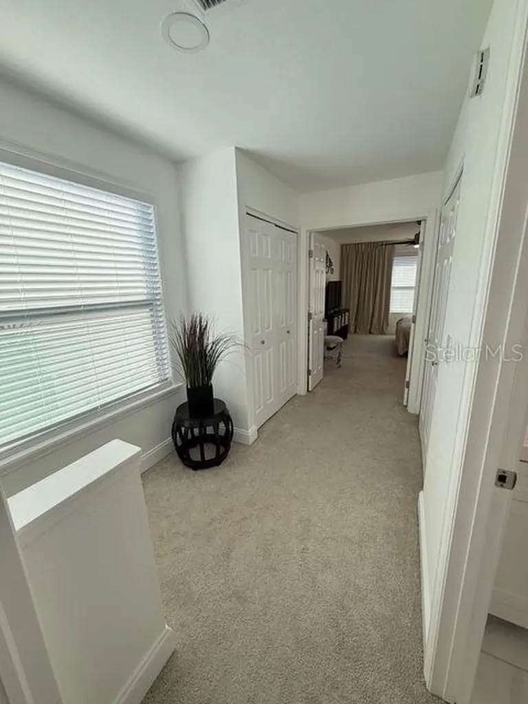 16077 Dawnview Drive Tampa FL 33624