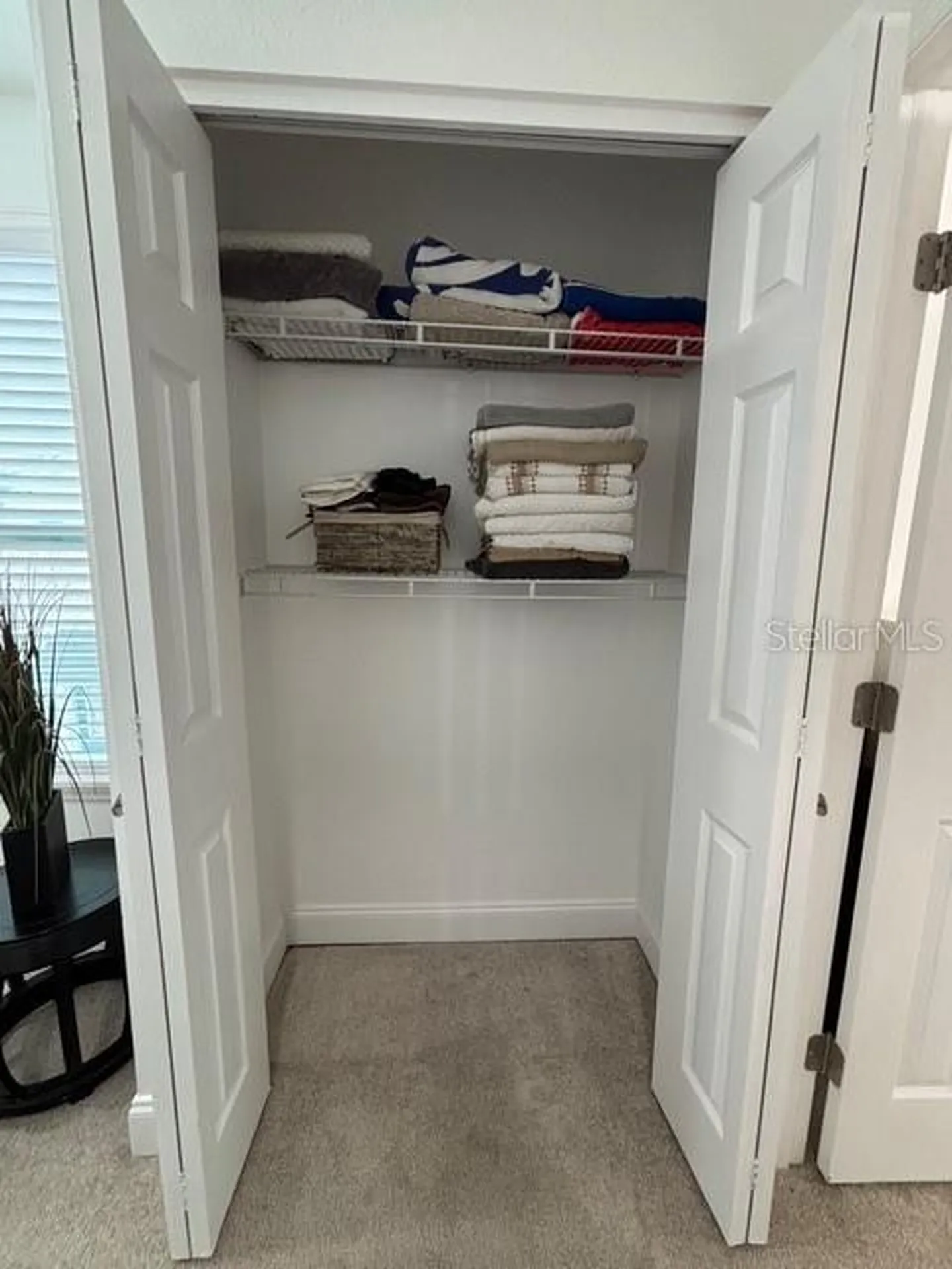 16077 Dawnview Drive Tampa FL 33624